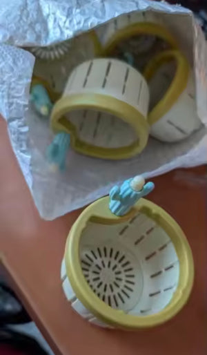 Hannah Scott . ✓ Verified 